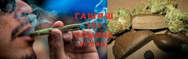 шишки Новодвинск