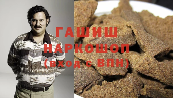 шишки Новодвинск