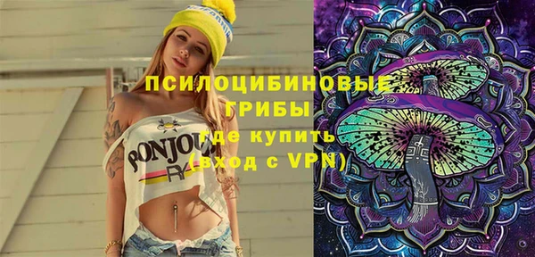стаф Бикин