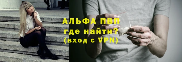 шишки Новодвинск