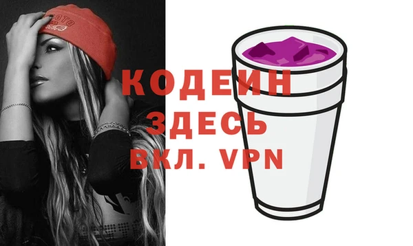 шишки Новодвинск