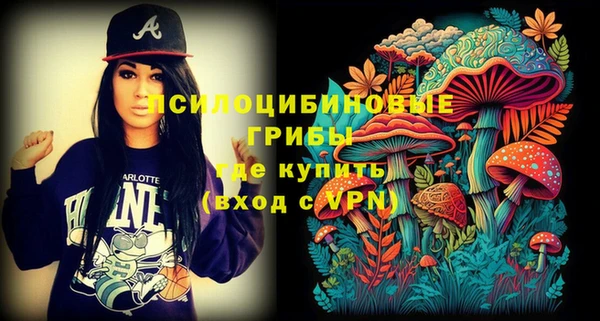 кокс Гусев