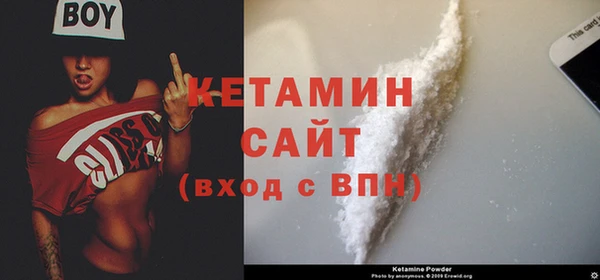 шишки Новодвинск