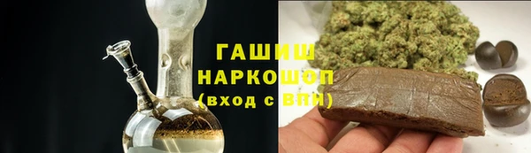 шишки Новодвинск