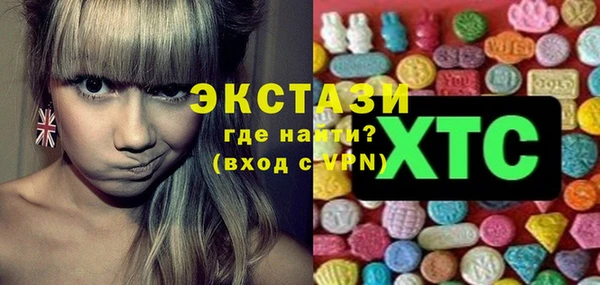 шишки Новодвинск
