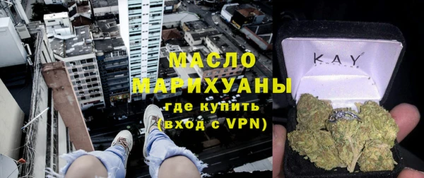 шишки Новодвинск