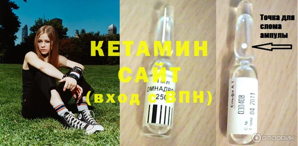 шишки Новодвинск