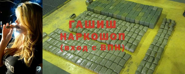 шишки Новодвинск