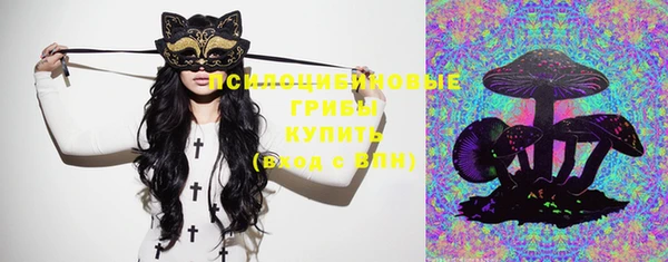 шишки Новодвинск