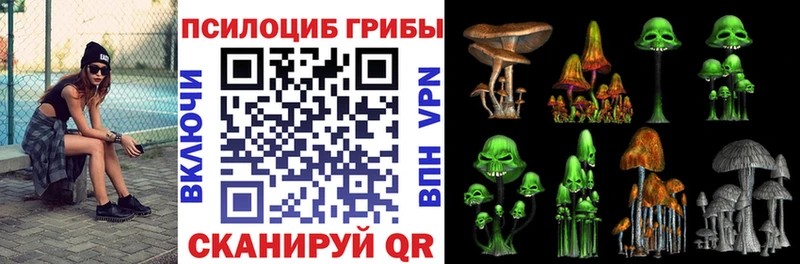 ссылка на мегу зеркало  Новопавловск  Псилоцибиновые грибы Cubensis 